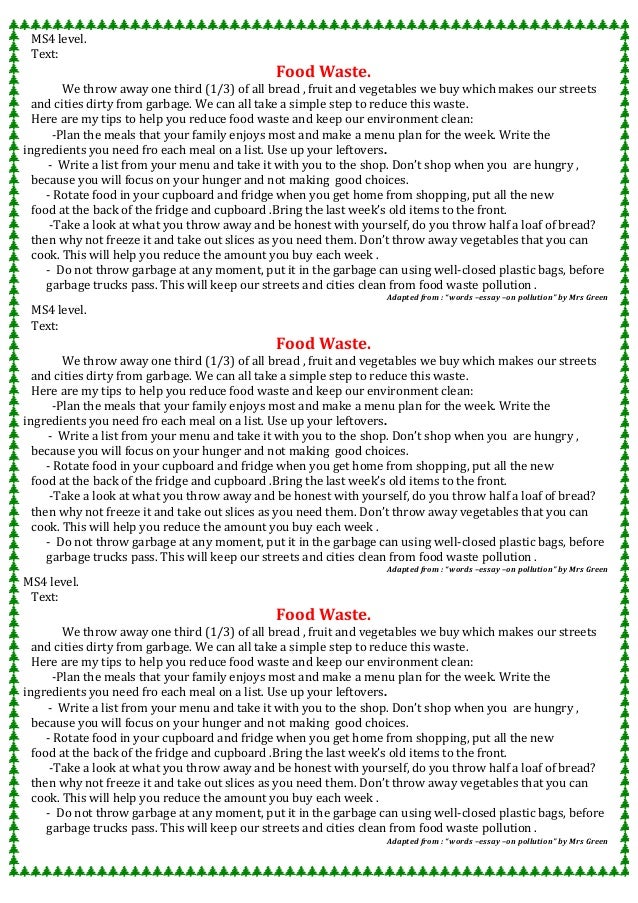 essay on don waste food